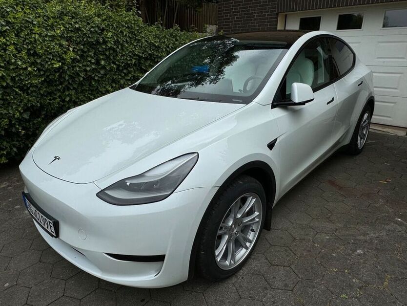 Model Y