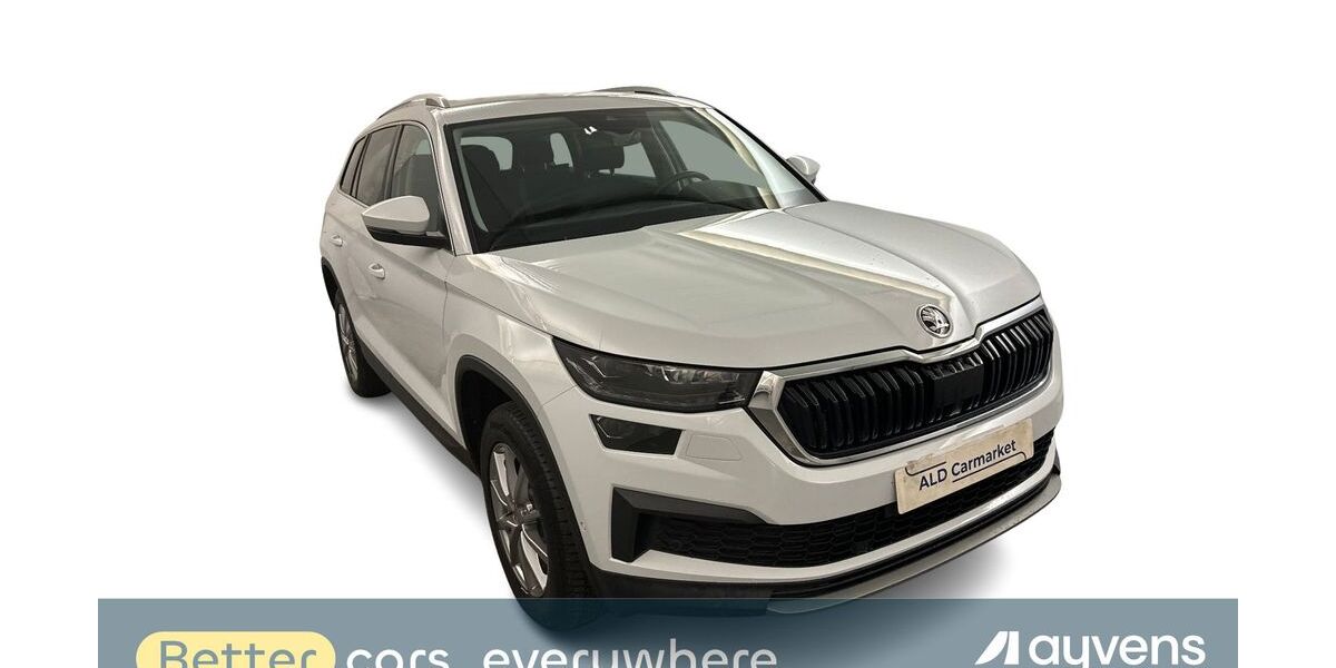 Skoda Kodiaq 131.236 km 24.980 &euro; Dorfmark 29683
