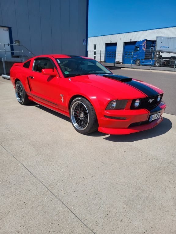Mustang