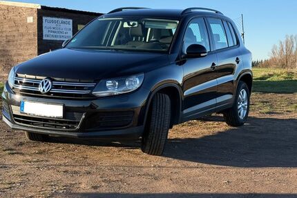VW Tiguan 81.756 km 13.900 &euro; Pirmasens 66955