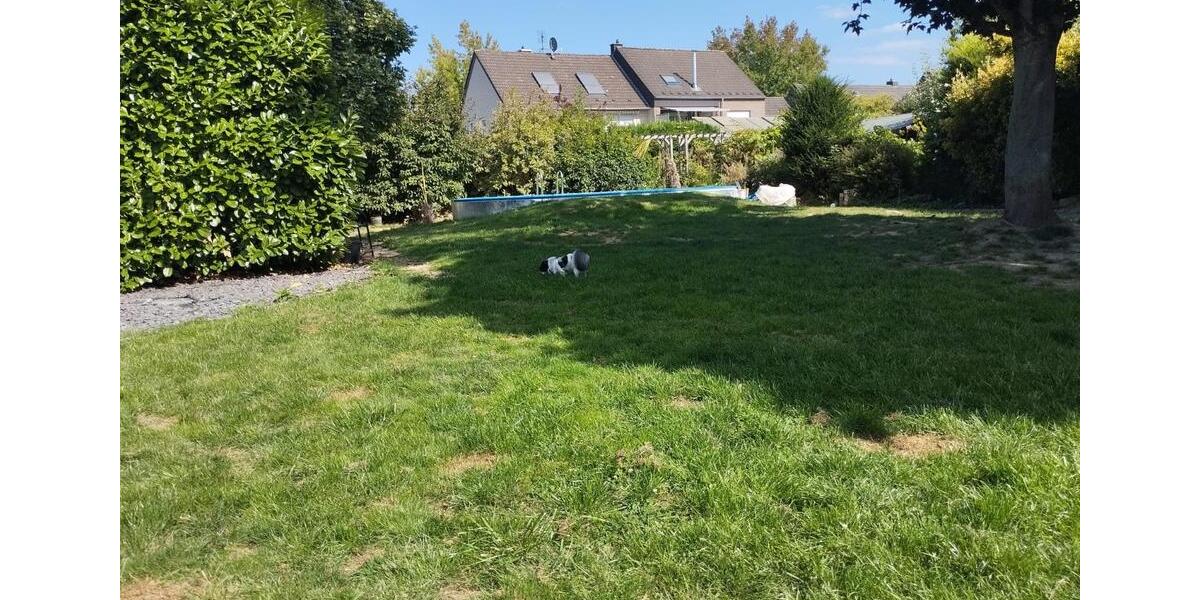 Doppelhaushälfte Mönchengladbach Süd - 7 Zimmer, 145 m&sup2;, 2.250&euro; | Angebot:24742224