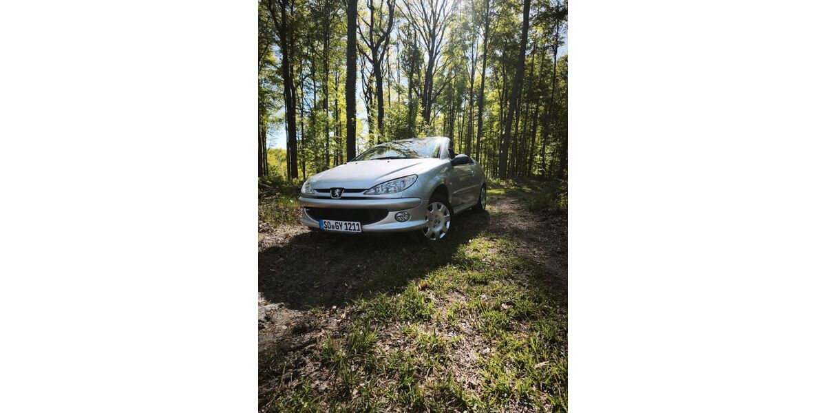 Peugeot 206 213.000 km 3.200 &euro; Soest 59494
