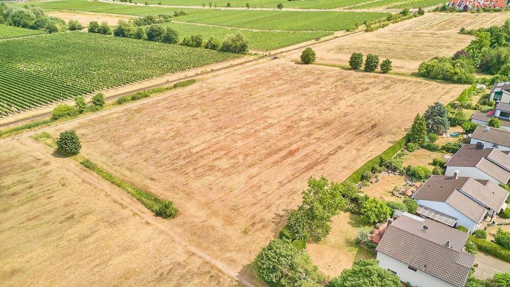 Grundstück Wachenheim - 349.965&euro; | Angebot:21575140