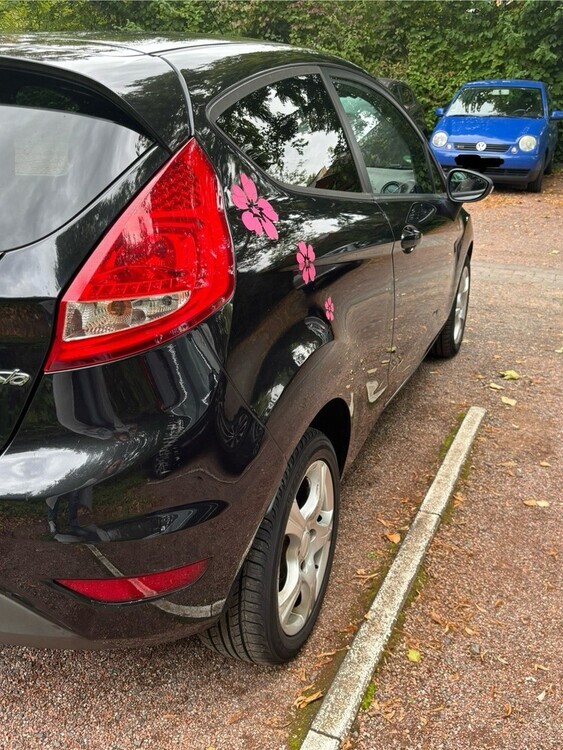 Ford Fiesta 171.356 km 1.999 € Bonn 53111