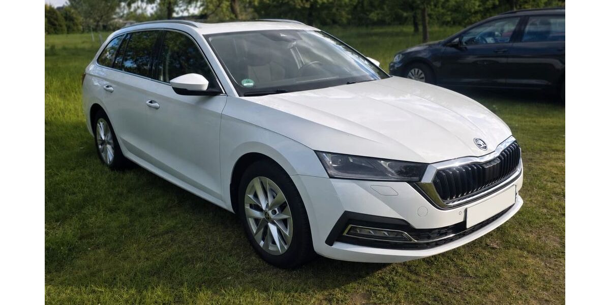 Skoda Octavia 173.200 km 17.500 &euro; Achim 28832