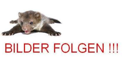 Dacia Dokker 76.000 km 14.600 &euro; Sonneberg 96515