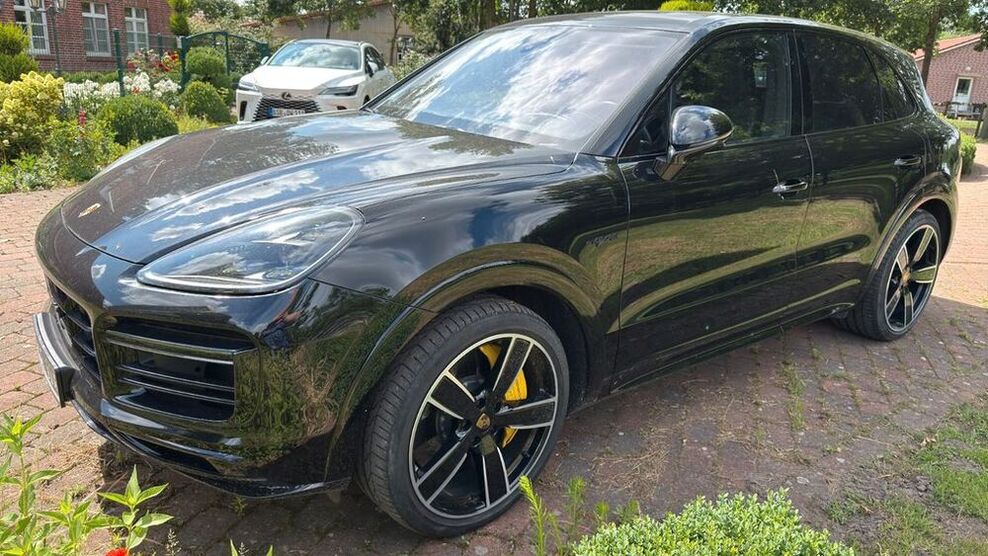 Cayenne