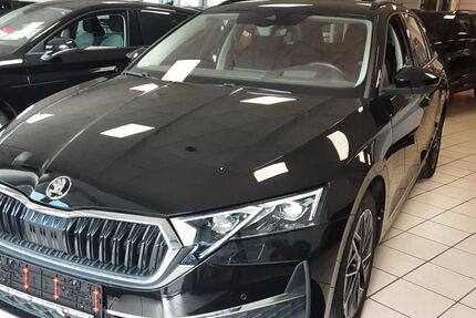 Skoda Octavia 11.700 km 29.990 € Monschau (bei Aachen) 52156
