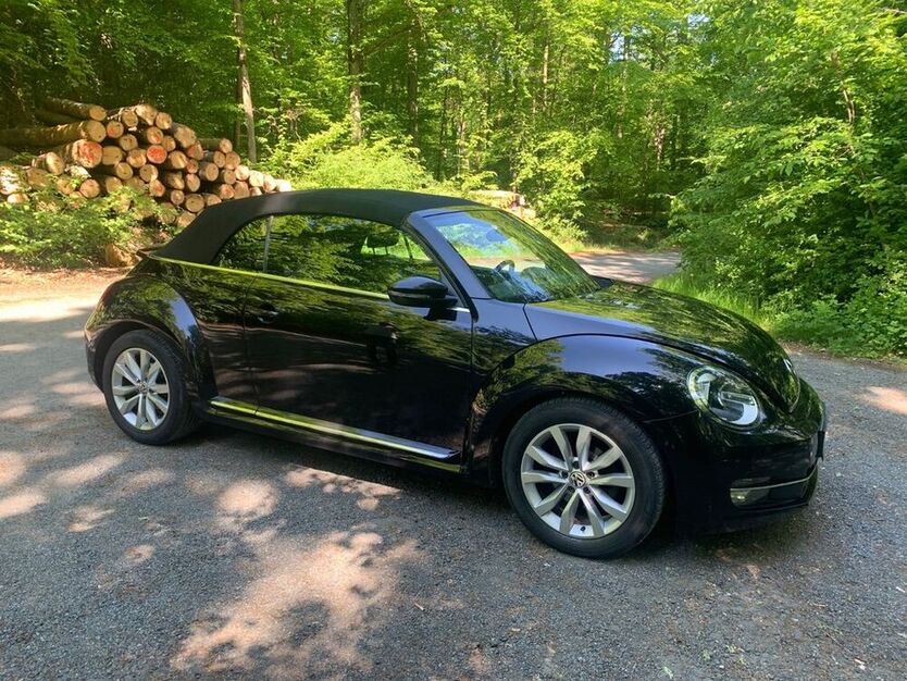 Beetle