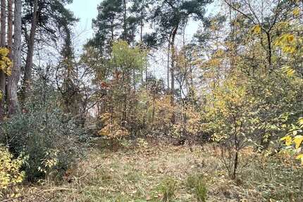 Grundstück Gifhorn - 199.000&euro; | Angebot:23551636