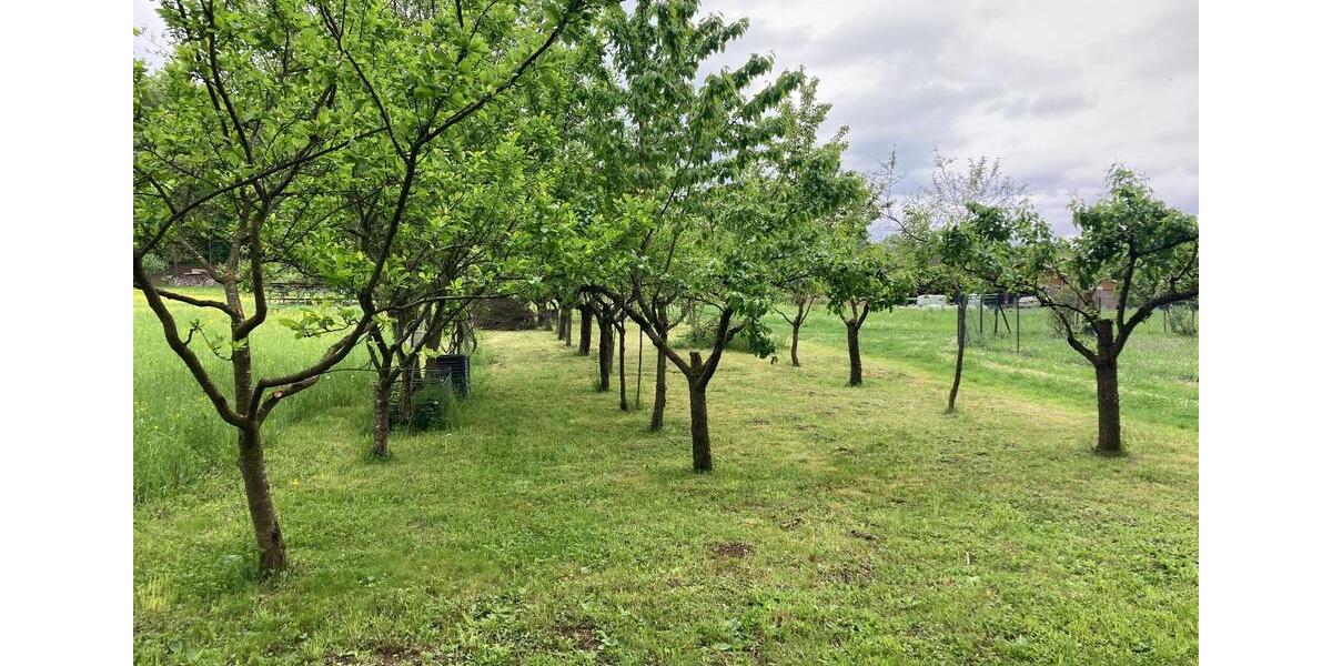 Grundstück Kirchheim unter Teck - 25.000&euro; | Angebot:24998432