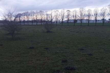 Grundstück in Zeven 950.000 € 23000 m² zimmer