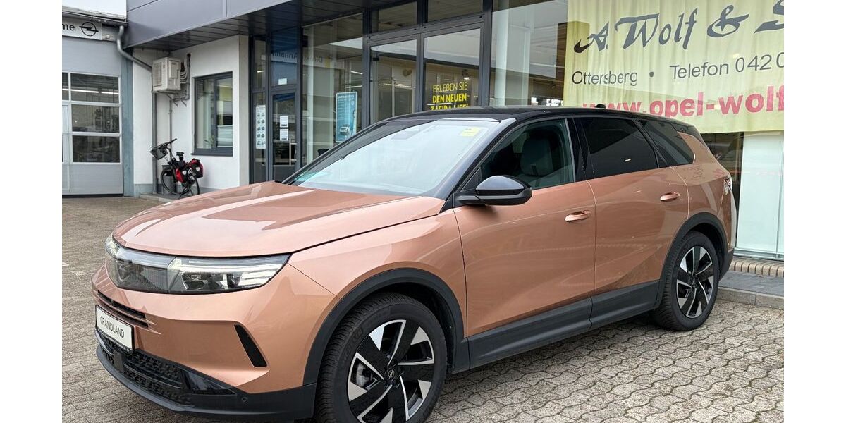 Opel Grandland (X) 12.490 km 30.190 &euro; Ottersberg 28870