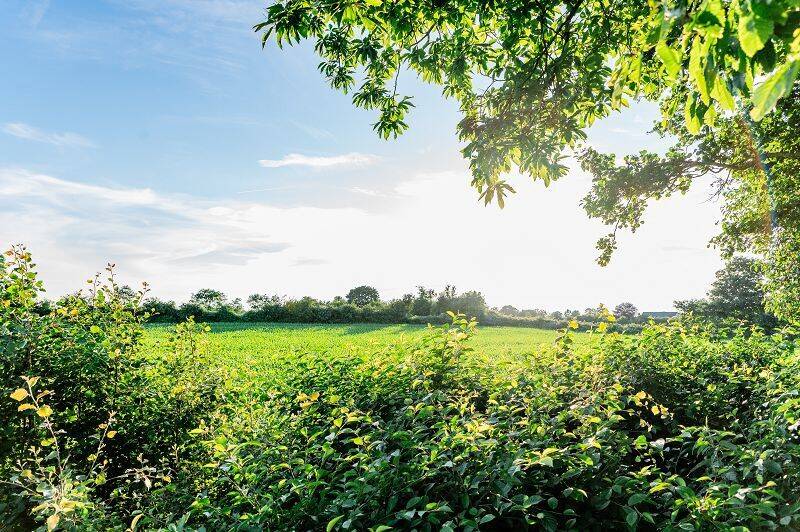 Einfamilienhaus Oeversee Sankelmark - 285.000&euro; | Angebot:26878791