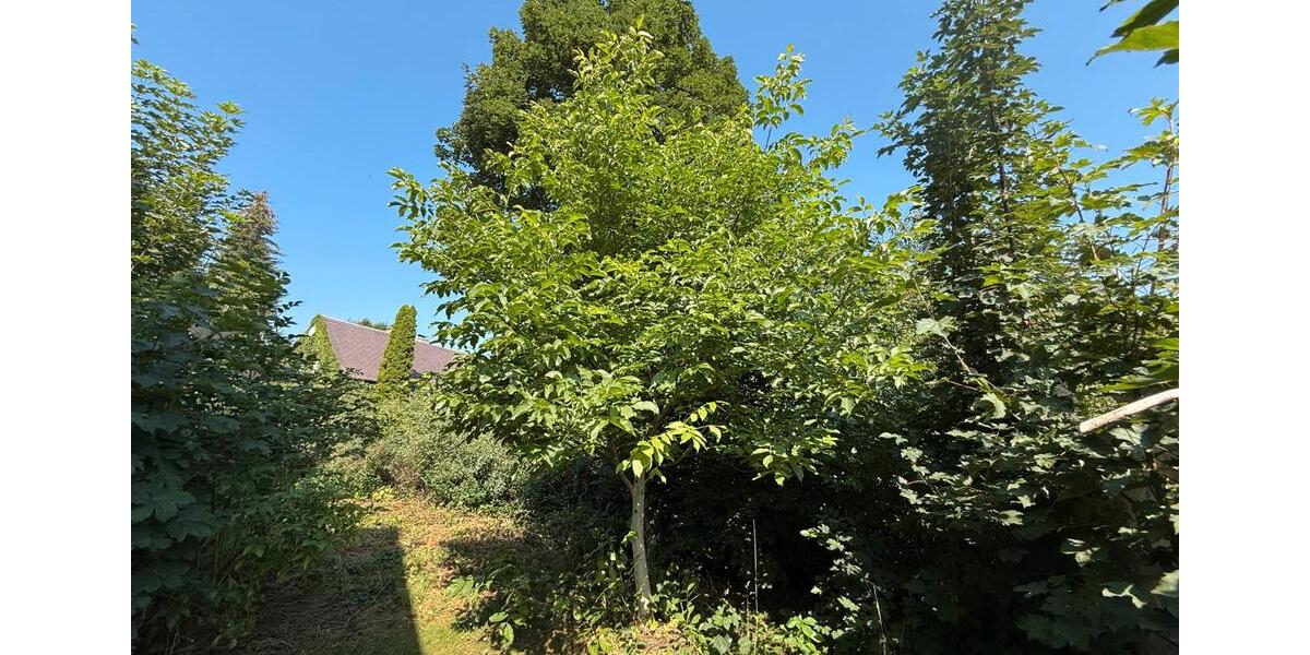 Bauernhaus, Landhaus Zittau - 25.000&euro; | Angebot:27245468