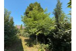 Bauernhaus, Landhaus Zittau - 25.000&euro; | Angebot:27245468