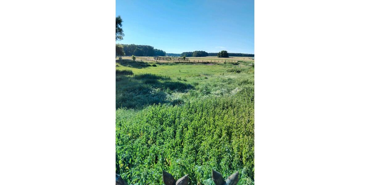 Bauernhaus, Landhaus Nuthe-Urstromtal Urstromtal - 10 Zimmer, 500 m&sup2;, 800.000&euro; | Angebot:27086755