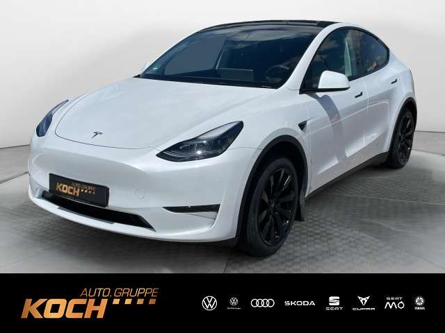 Model Y