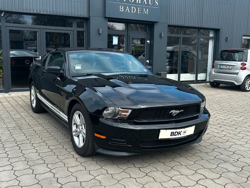 Mustang