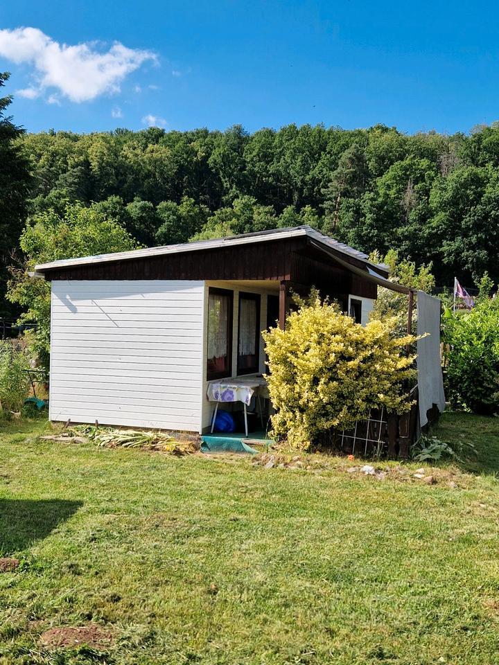 Pachtgarten ab sofort abzugeben,Scheubengrobsdorf