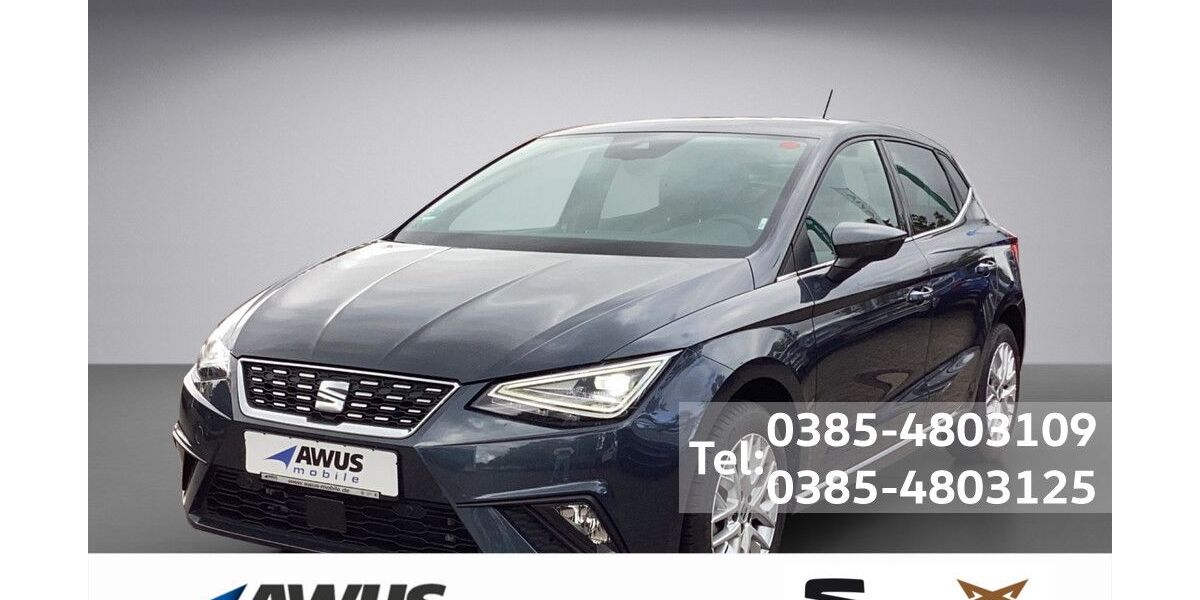 Seat Ibiza 12.500 km 22.490 &euro; Schwerin 19057