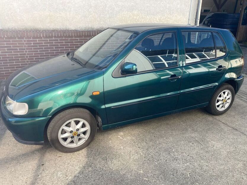 Polo