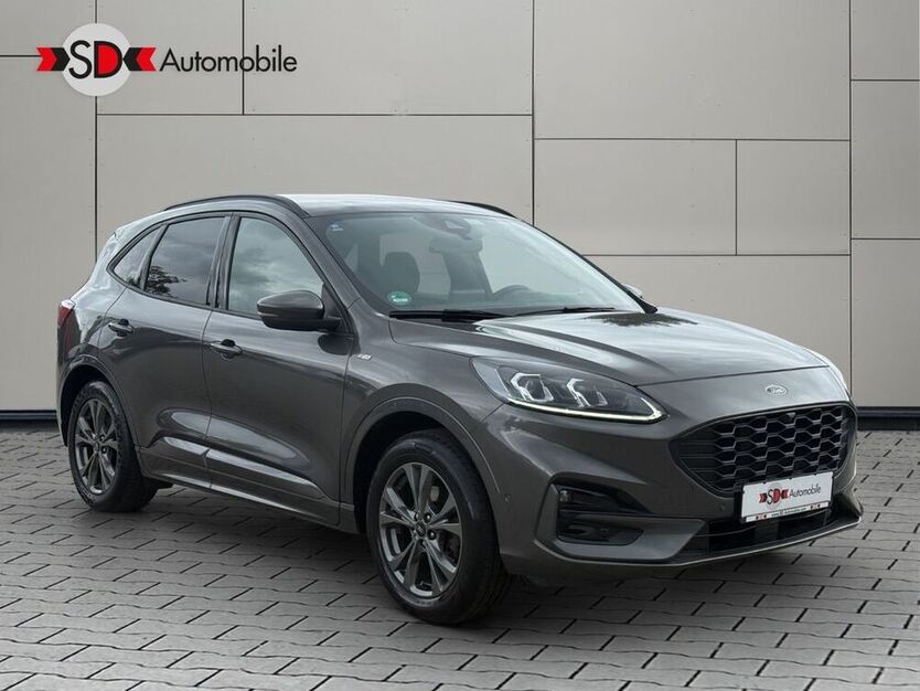 Kuga