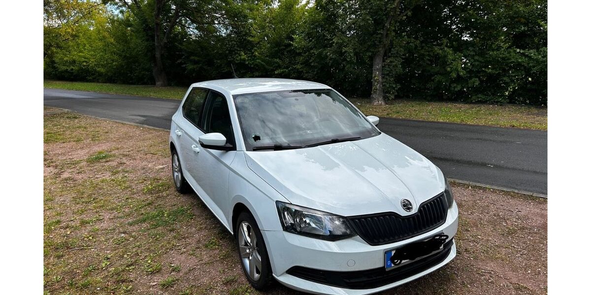 Skoda Fabia 58.000 km 7.999 &euro; Salzatal 06198
