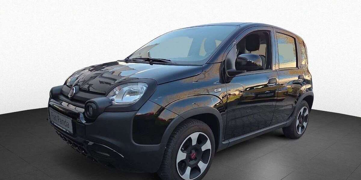 Fiat Panda 36.300 km 11.490 &euro; Pforzheim 75179
