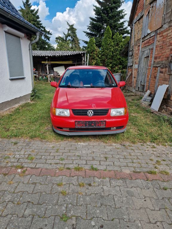 Polo
