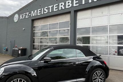 VW Beetle 110.000 km 11.900 &euro; Springe 31832