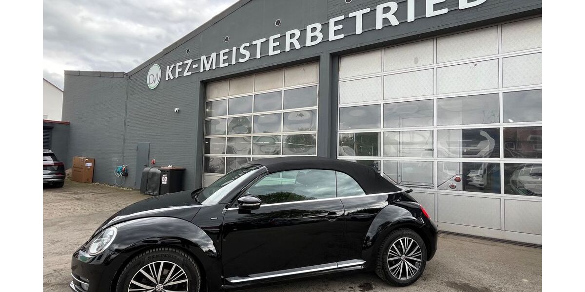 VW Beetle 110.000 km 11.900 &euro; Springe 31832