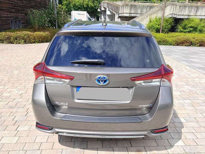 Auris