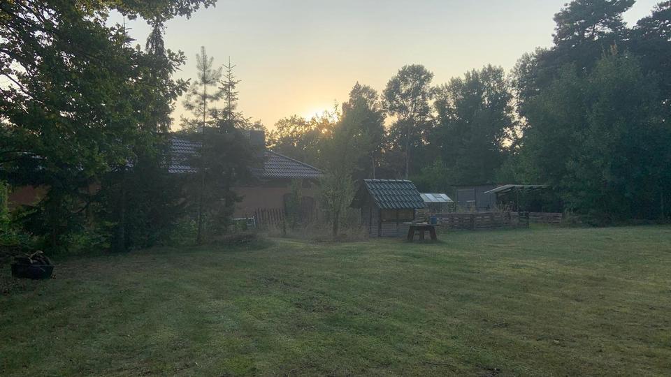 Haus in Velpke: 8 Zimmer, 5.130 m² Grundstück, Pool, Kamin zimmer