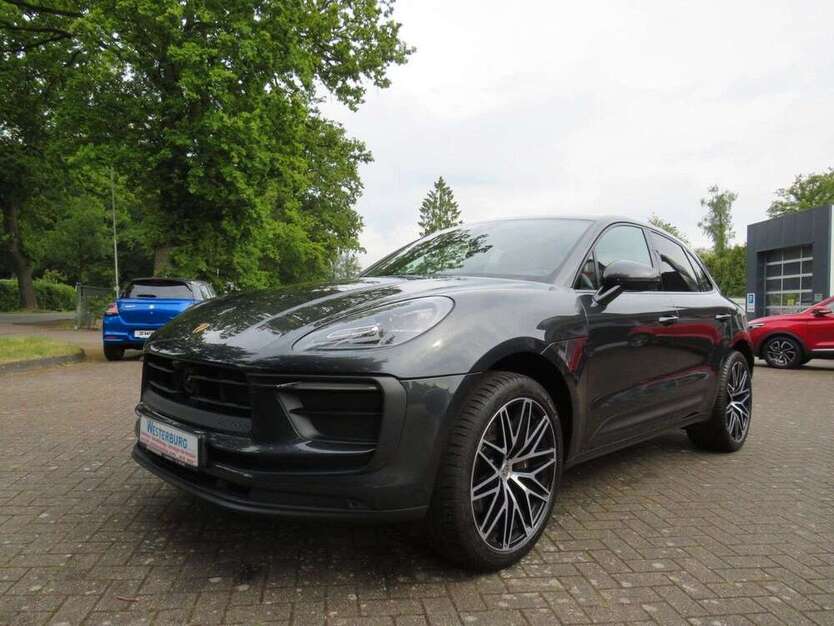 Macan