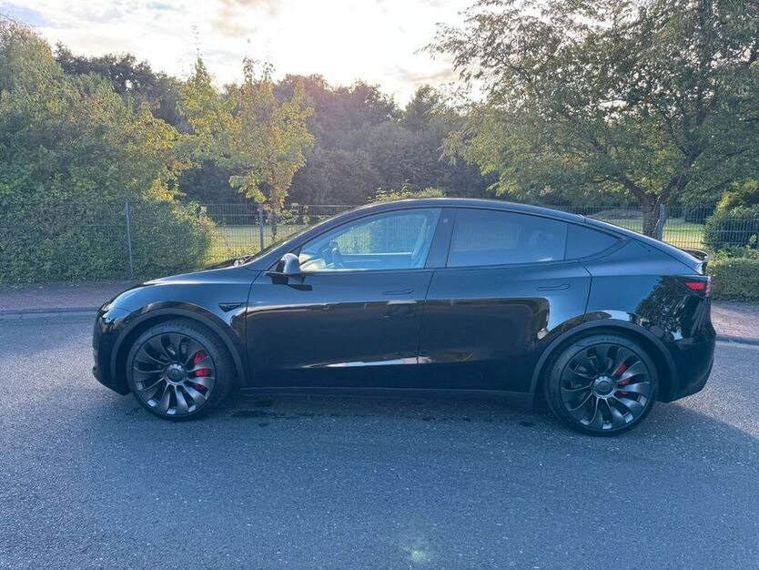 Model Y