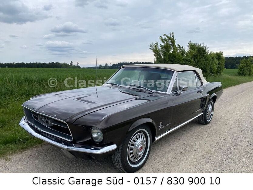 Mustang