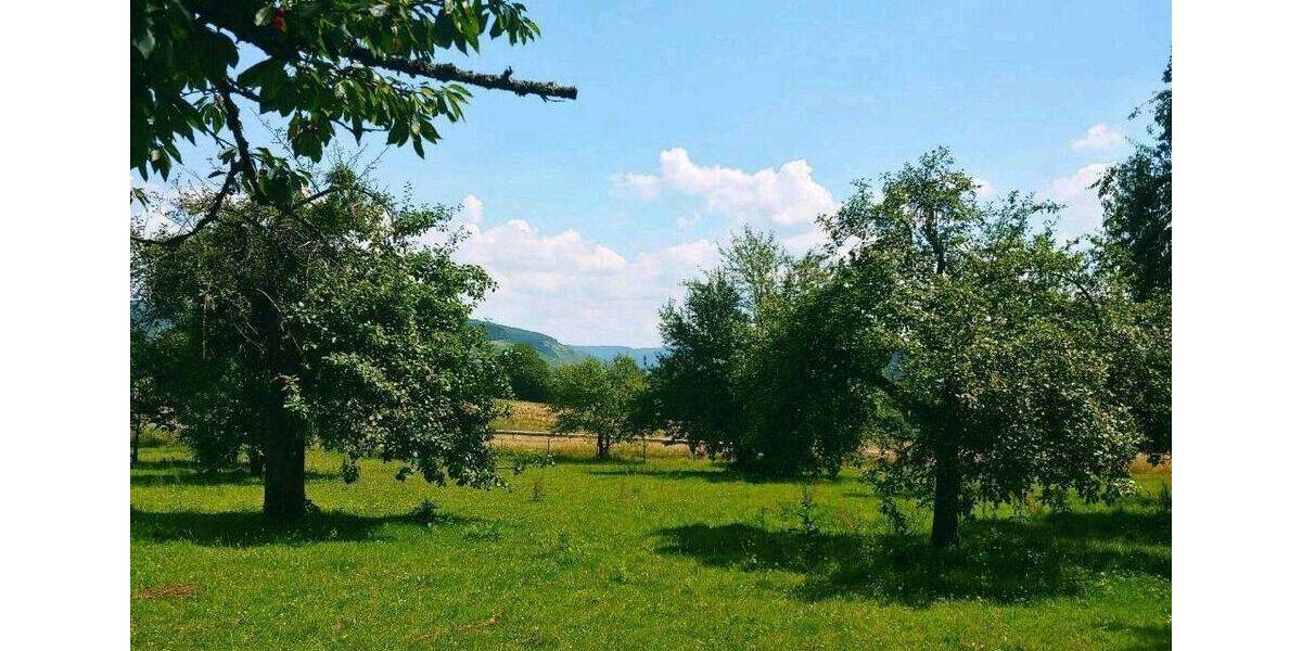 Bungalow Schweich - 4 Zimmer, 126 m&sup2;, 788.918&euro; | Angebot:26894576