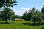 Bungalow Schweich - 4 Zimmer, 126 m&sup2;, 788.918&euro; | Angebot:26894576