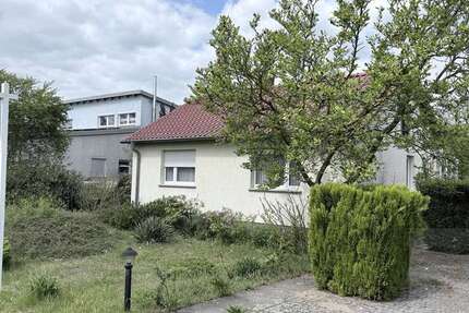 Haus Potsdam Drewitz - 3 Zimmer, 87 m&sup2;, 636.000&euro; | Angebot:26704687