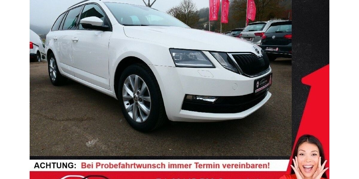 Skoda Octavia 95.400 km 18.850 &euro; Pappenheim 91788