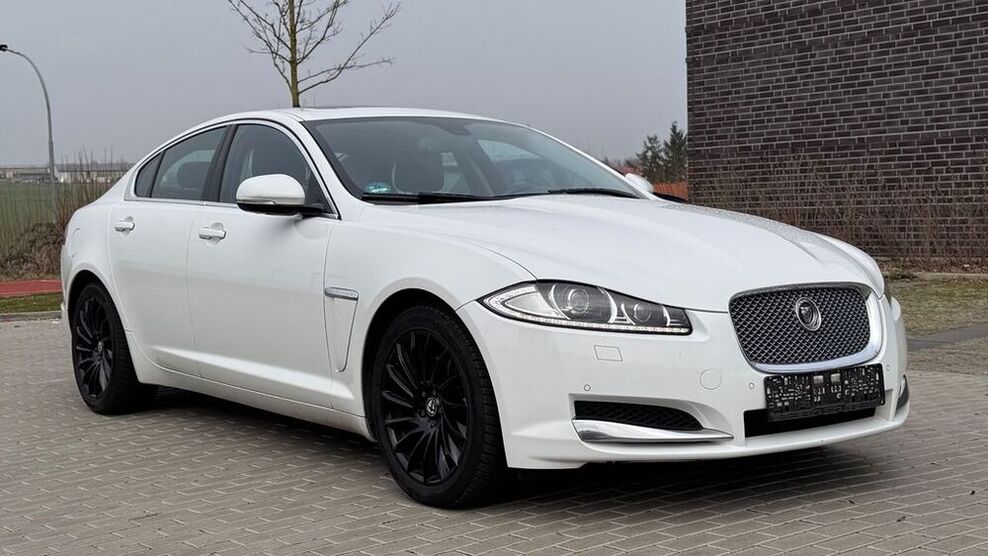 XF