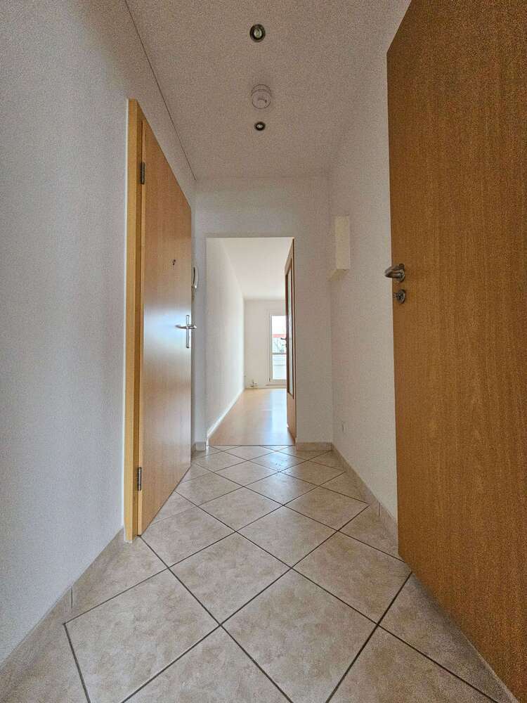 Wohnung zum Mieten in Chemnitz 226 € 41 m²