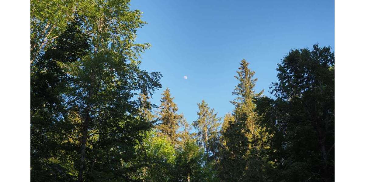 Grundstück Schliersee - 180.000&euro; | Angebot:26654280
