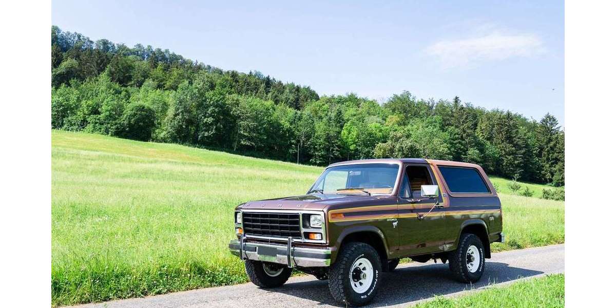 Ford Bronco 89.000 km 44.900 &euro; Lahr 77933