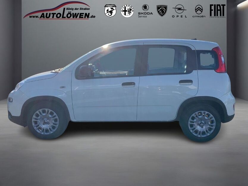 Fiat Panda 1.056 km 13.630 € Öhringen 74613