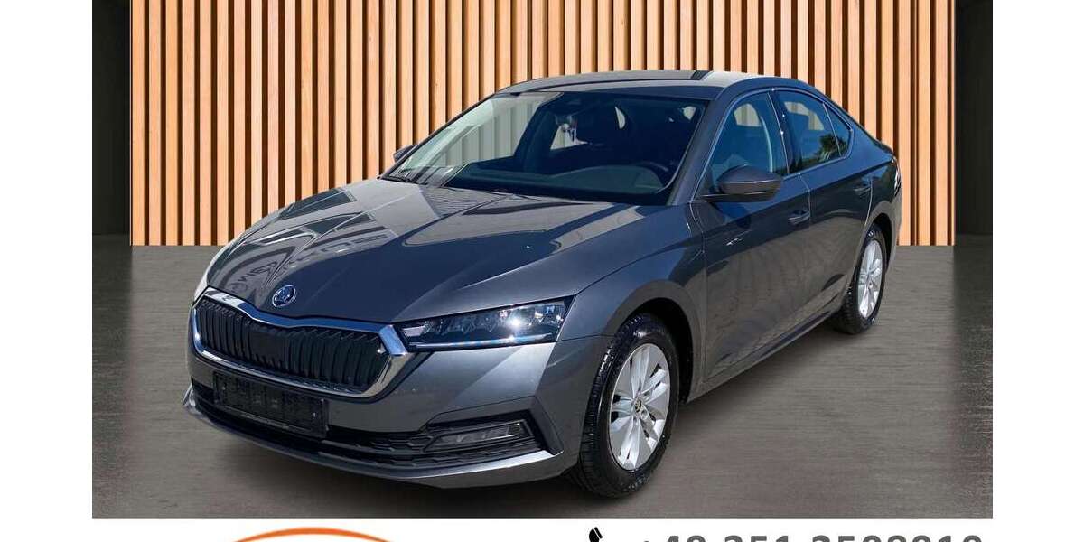 Skoda Octavia 87.298 km 17.980 &euro; Dresden/Weißig 01328