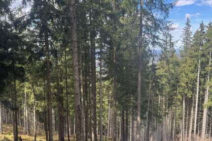 Grundstück in Saulgrub 199.000 € 81134 m² zimmer