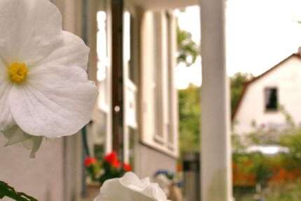 Zimmer Glienicke/Nordbahn Nordbahn - 2 Zimmer, 1.500&euro; | Angebot:24987967