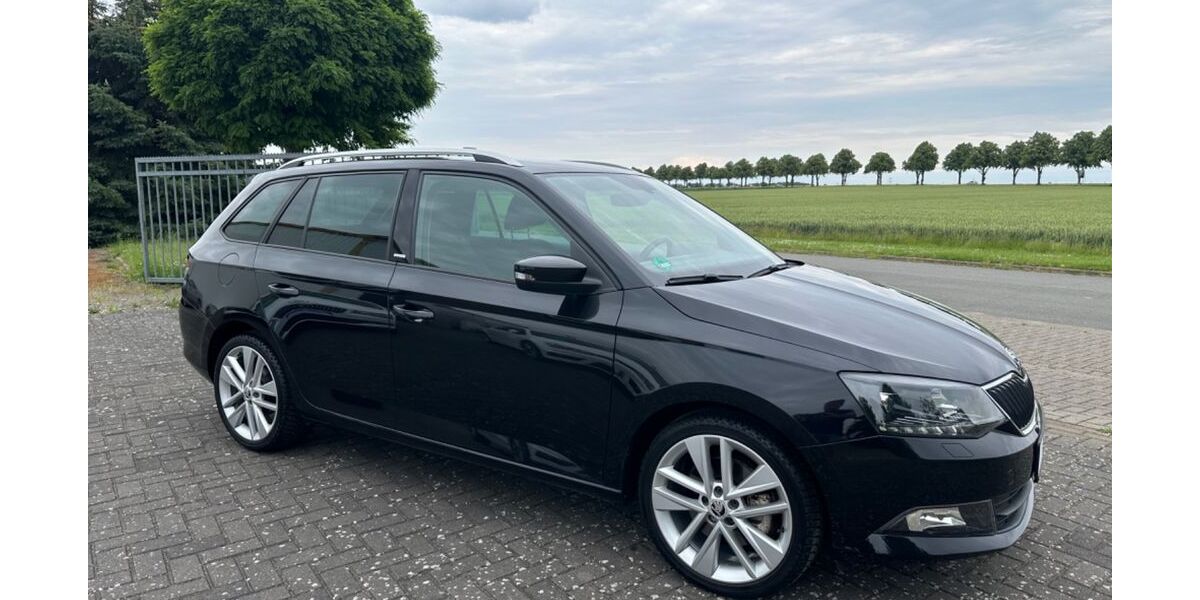 Skoda Fabia 95.000 km 10.850 € Ilsede 31241